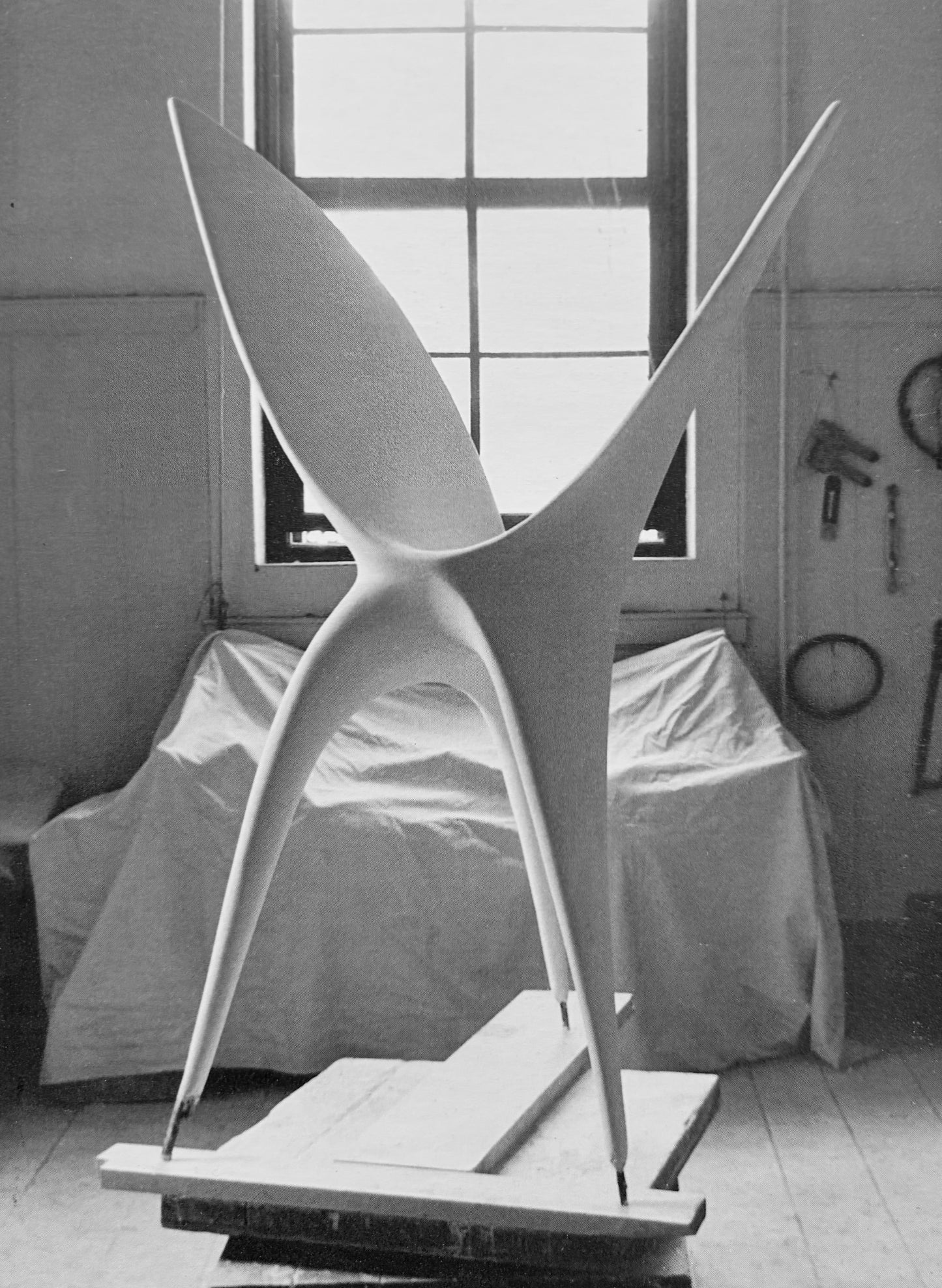Alberto Viani by Mazzotta, 1998