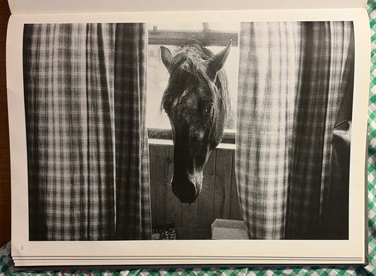 Linda McCartney, Photographs