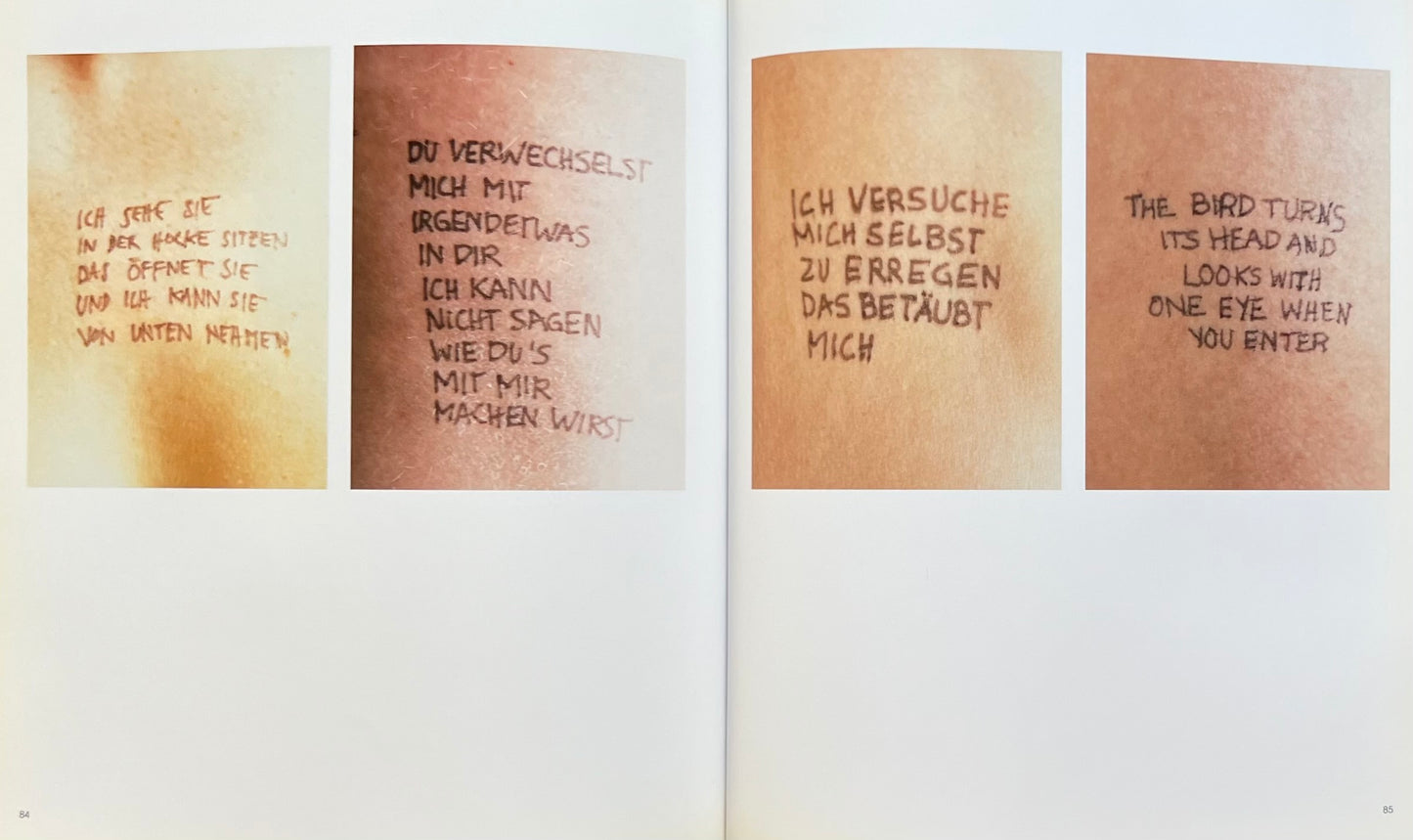 Jenny Holzer, Lustmord