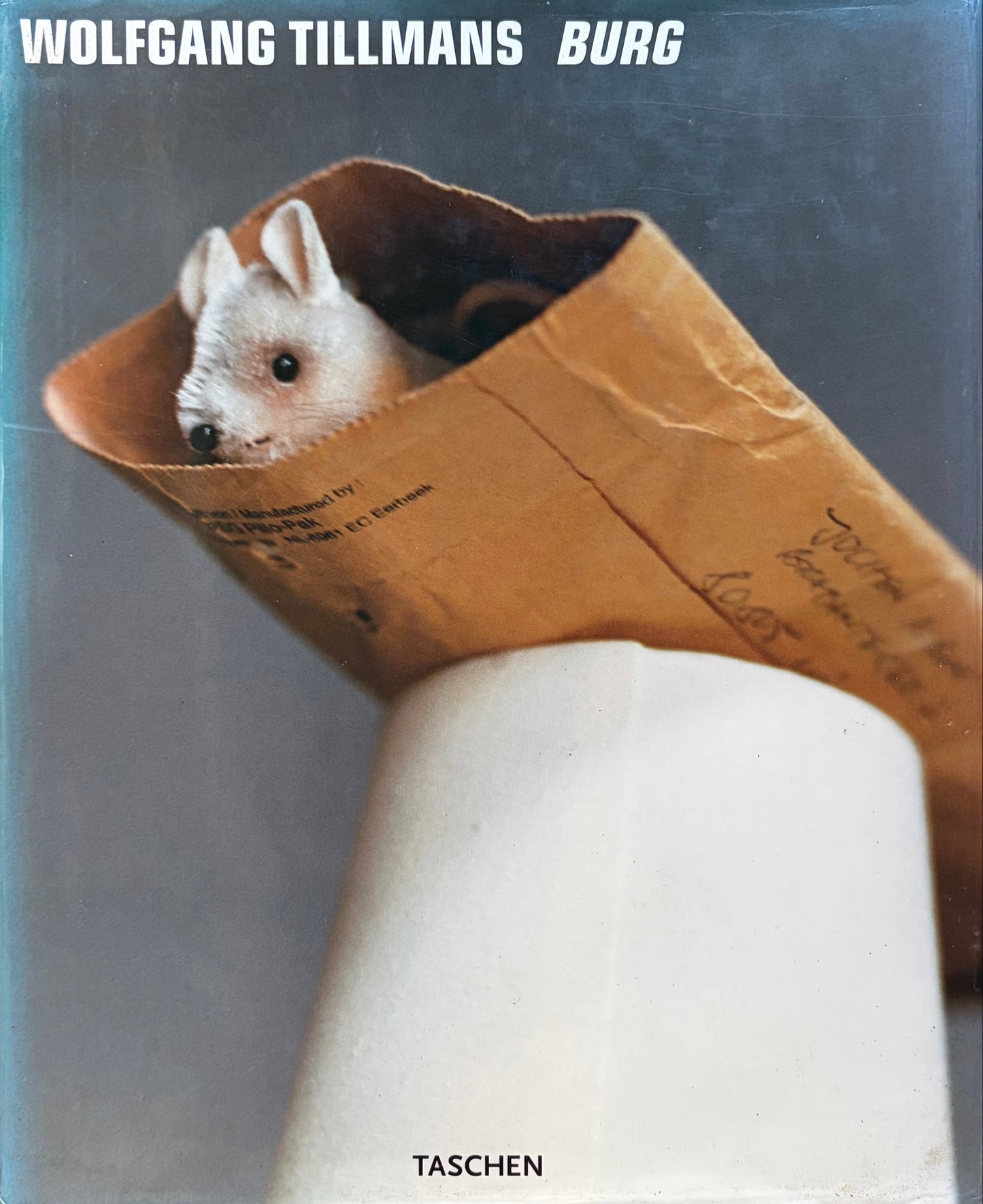 Burg: Wolfgang Tillmans 1st edition, 1998
