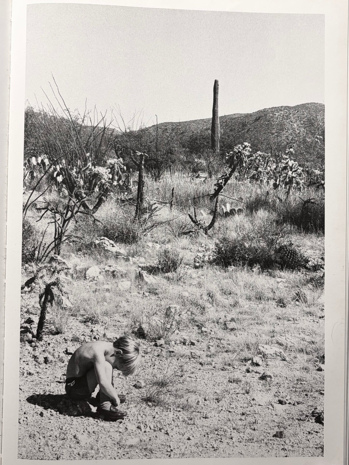 Linda McCartney, Photographs