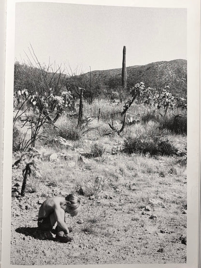 Linda McCartney, Photographs